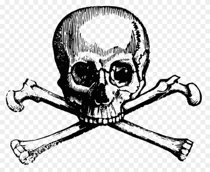 Free Skull And Bones Transparent, D