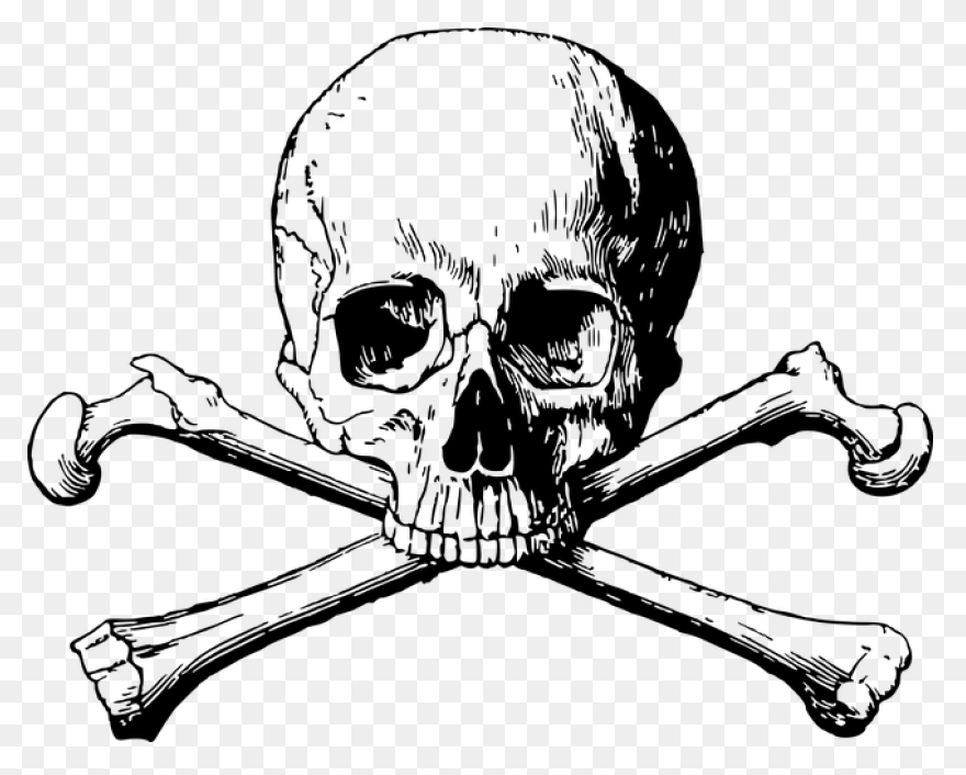 Free Skull And Bones Transparent, D