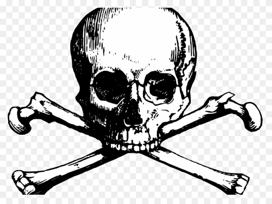 Free Skull And Bones Transparent, D