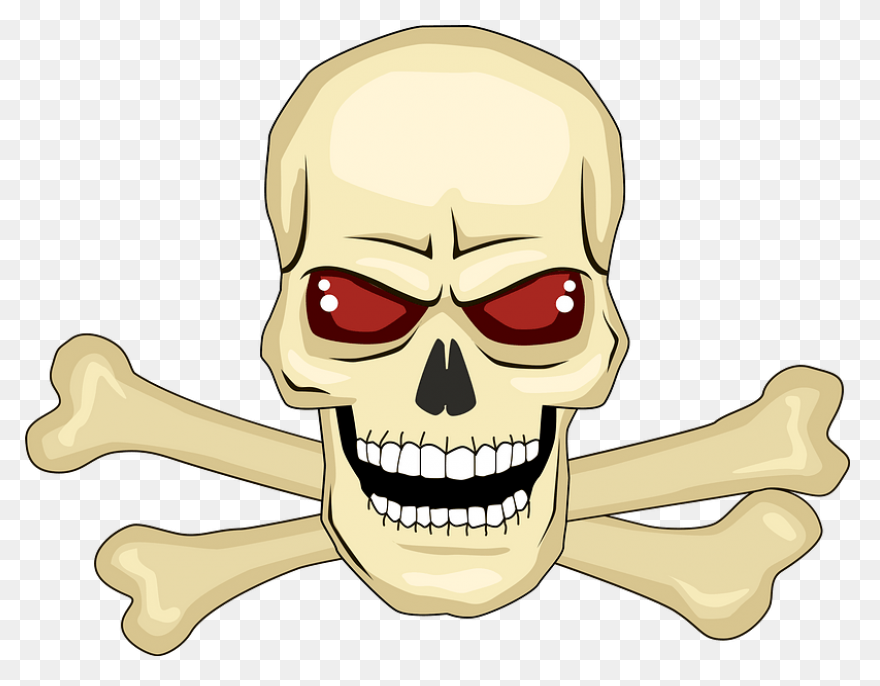 Free Skull And Bones Transparent, D