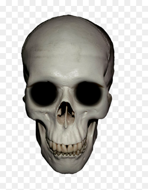 Imgs For > Girly Skulls Clipart 