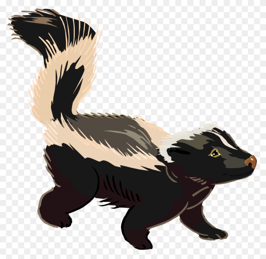 Skunks Moving Into The Suburbs | Ne