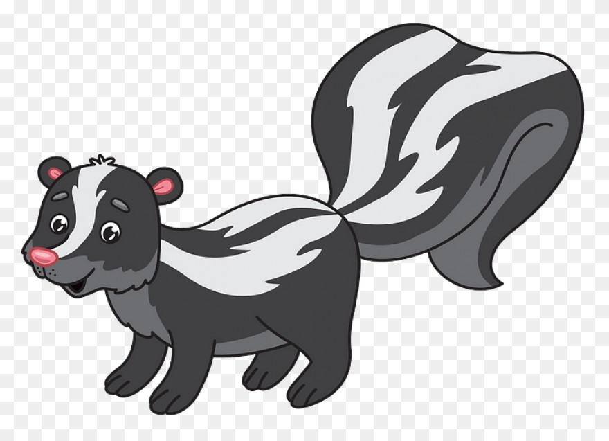 Skunks Moving Into The Suburbs | Ne