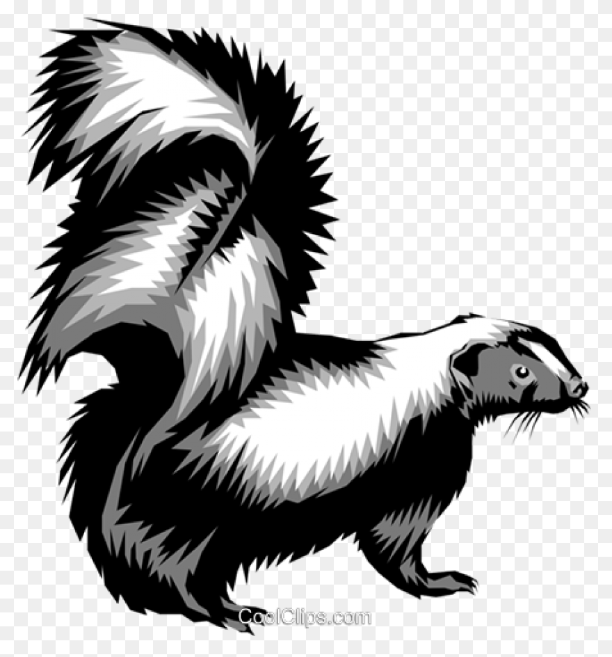 Skunks Moving Into The Suburbs | Ne