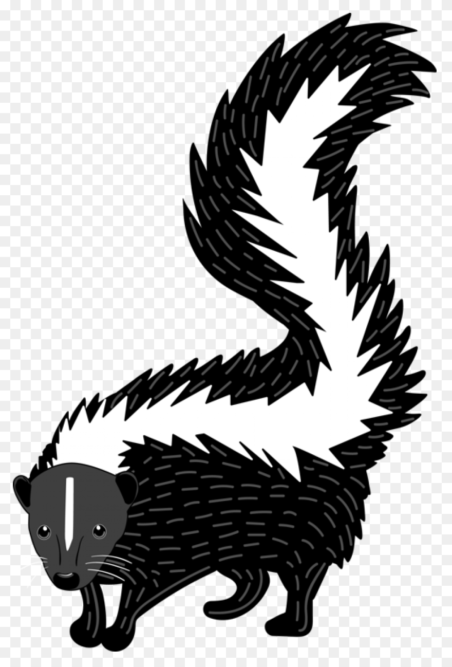 Skunks Moving Into The Suburbs - Skunk