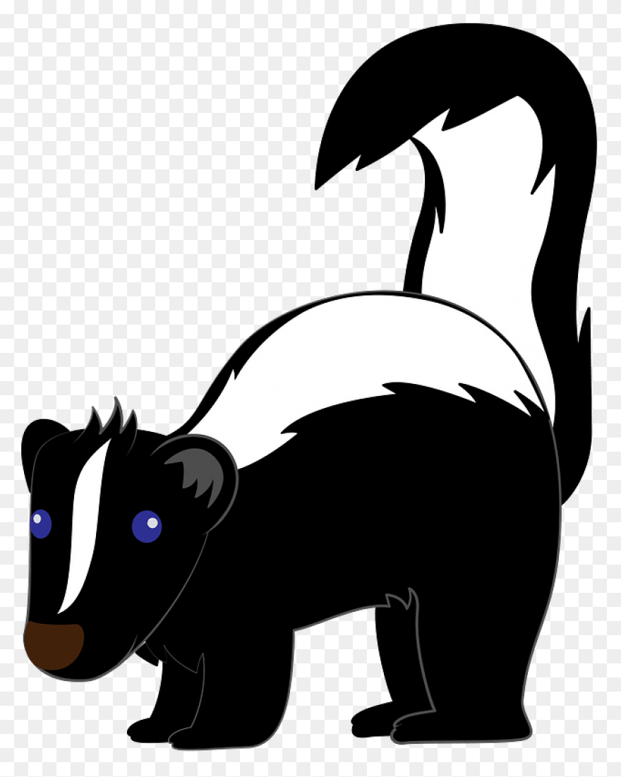 Skunks Moving Into The Suburbs | Ne