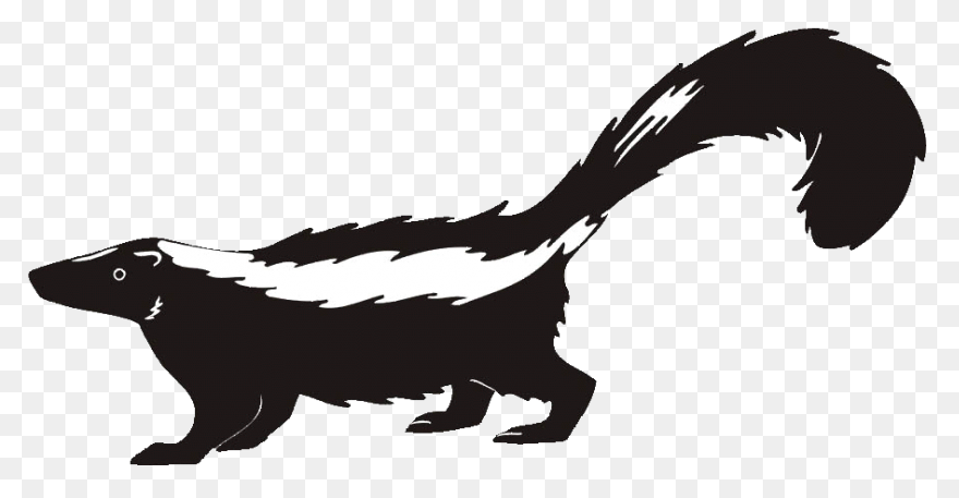 Skunks Moving Into The Suburbs | Ne