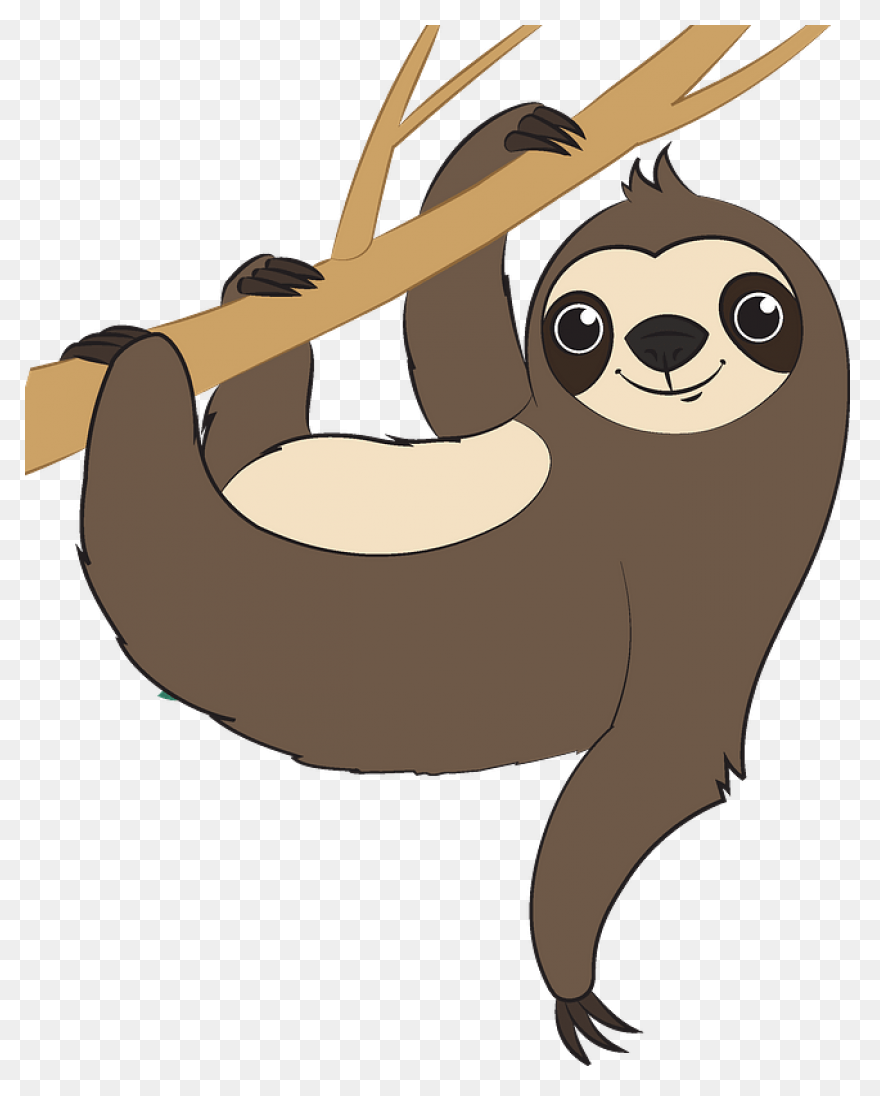 Sloth Clipart - Cartoon - Png Downl
