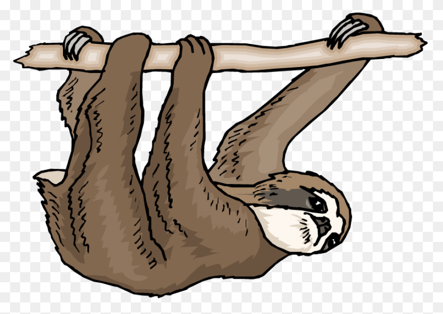 Sloth Clipart #1 | Sloth - Sloth