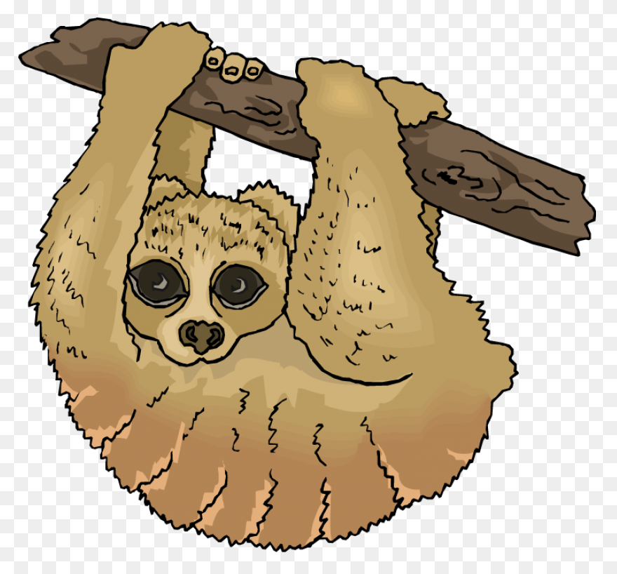 Sloth Clipart - Cartoon - Png Downl