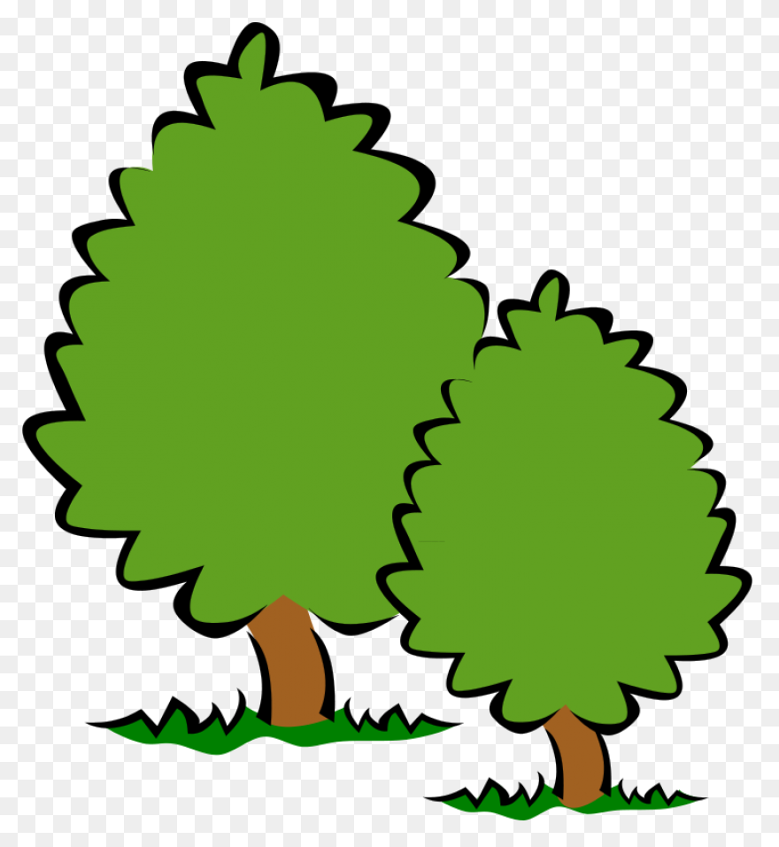 Japanese Small Tree Png Hd Images, 
