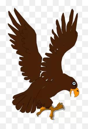 Download Hd How To Set Use Aguila Clipart Transparent Png Image ClipartFlare.com 