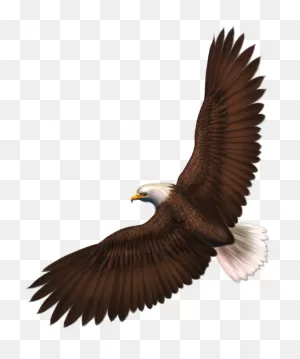 Imágenes De Águilas | Eagle Images, Bald Eagle, Clip Art Vintage