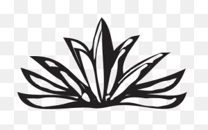 Agave-Plant « Gourmet Source | Agave Plant, Agave, Plants
