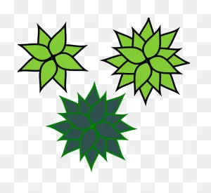 Free Clipart: Agave | Jpenrici