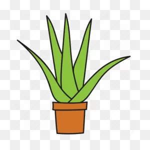 Aloe Vera, Botanical, Cactus, Succulent, Wild Plant Icon - Download ClipartFlare.com 