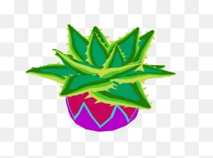 Aloe Vera By Cortoony On 