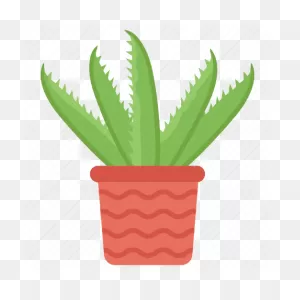 Aloe Vera, Cactus, Organic Plant, Plant, Succulent Icon - Download On ClipartFlare.com 