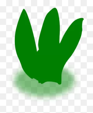 Aloe Vera Clip Art At ClipartFlare ClipartFlare.com - Vector Clip Art Online, Royalty ClipartFlare.com 