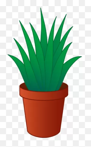 Aloe Vera Free Clip Art | ClipartFlare - Free Clipart Images