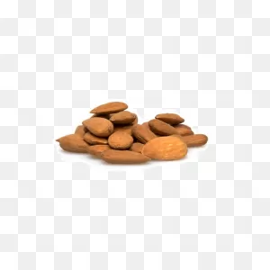 Almonds Marcona, Sprouted, Organic