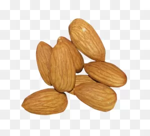 Almond Png Alpha Channel Clipart Images (Pictures) With ClipartFlare.com 