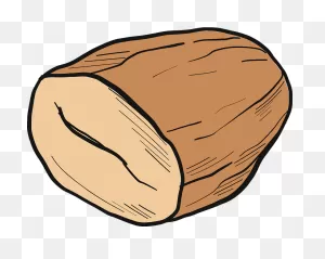 Almond Clipart. Free Download Transparent .png | ClipartFlare