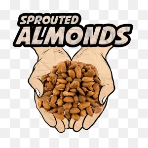 Sprouted Organic Almonds, 8Oz | Unpasteurized | Raw | Ketogenic ClipartFlare.com 