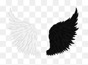 Angel Wings Png 06 By Thy-Darkest-Hour On  | Angel Wings ClipartFlare.com 