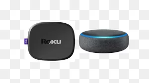 How To Control Roku With Alexa - Grounded Reason