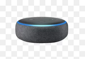 Language Support In Voice Assistants Compared (2021 Update)