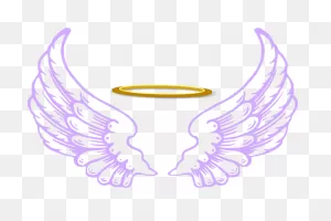 Download Angel Halo Wings Transparent Image Hq Png Image | Angel ClipartFlare.com 