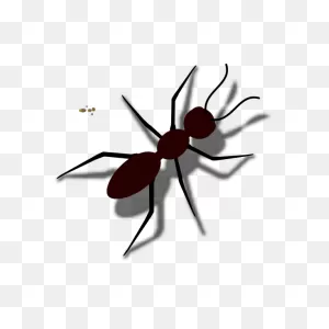 Ant Facts For Kids | Cool Kid Facts