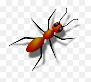 Ant Png Clip Art, Ant Transparent Png Image | Cliparts Free
