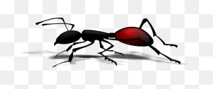 Ant Clip Art At ClipartFlare ClipartFlare.com - Vector Clip Art Online, Royalty Free ClipartFlare.com 
