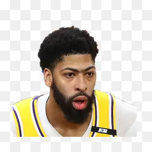 Anthony Davis Stats | Fantasydata