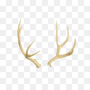 Mule Deer Antler Replacement - Delta Mckenzie- Replacement Parts