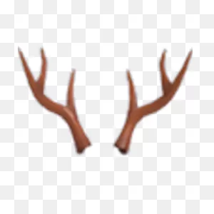 Reindeer Antlers | Adopt Me! Wiki | ClipartFlare