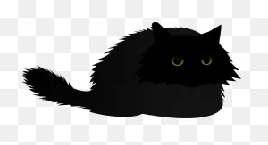 Angry Cat | Angry Cat, Cat Spray, Cats