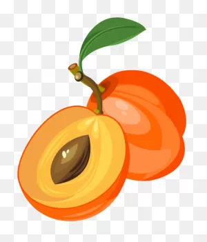 Apricot Clipart | ClipartFlare – Free Png Library