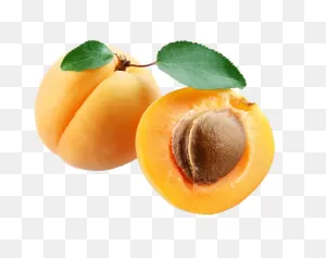 Apricot Clipart Png | Picpng