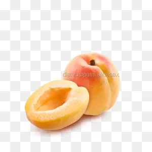 Apricot Kernel Oil Cold Pressed And Refined - Buy Apricot Kernel ClipartFlare.com 