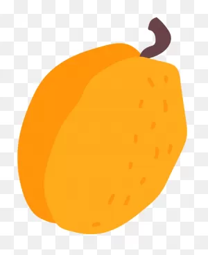 Apricot Clipart. Free Download Transparent .png | ClipartFlare