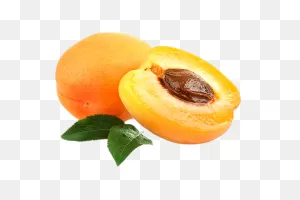 Apricot Kernel Oil - Ayurvedic Ingredients Uses & Benefits ClipartFlare.com 