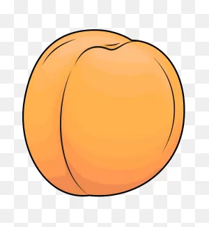 Apricot Clipart. Free Download Transparent .png | ClipartFlare
