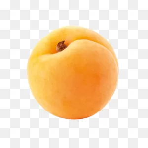 Apricot | Bösch Boden Spies