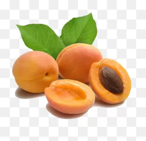 Cover Apricot Png | ClipartFlare – Free Png Library