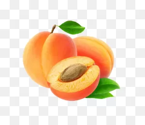 Download Apricot Transparent Image Hq Png Image | ClipartFlare