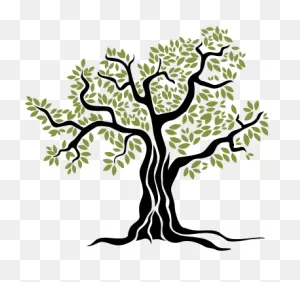 Arbol Del Olivo - Olive Tree Vector Png - (374X352) Png Clipart ClipartFlare.com 