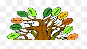 Music And Spanish Fun Tree Of Adjectives - Adjetivos De Arbol ClipartFlare.com 
